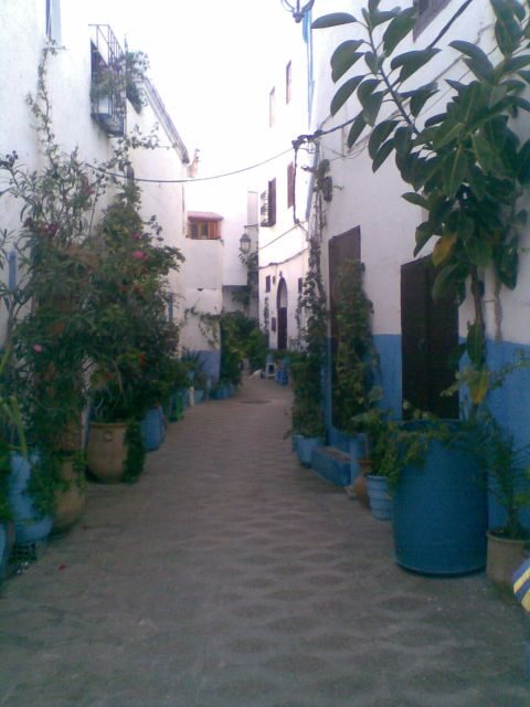 Tangier and Asilah Full Day Tour from Tangier - An Introduction to the Tour Experience