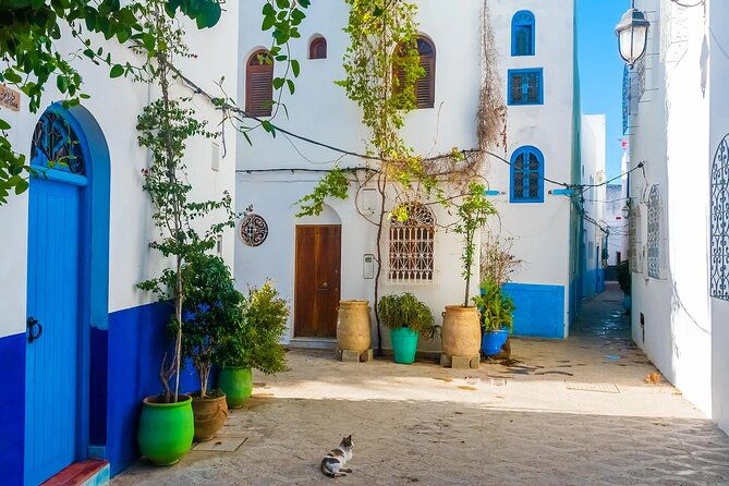 tangier-asilah-private-tour-with-from-malaga-or-marbella