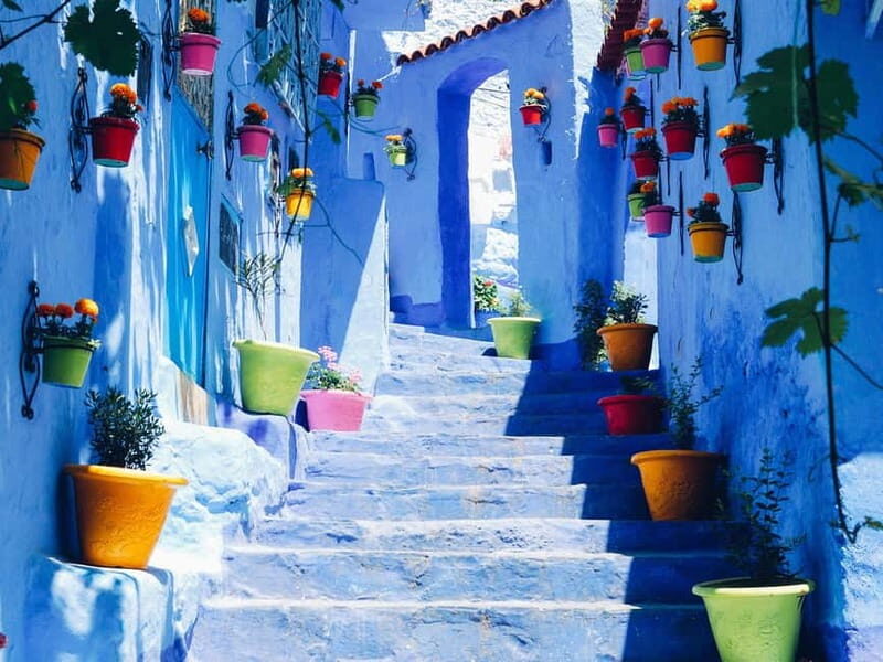 Tangier & Chefchaouen: 2-Day Tour From Casablanca By Train - Who Would Love This Tour?