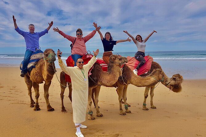 Tangier Day Trip: Explore the Citys Culture and History - Key Points