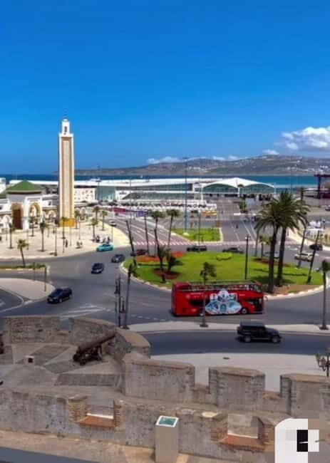 Tangier: Day Trip from Tarifa To Tanger { camel ride { plage - Key Points
