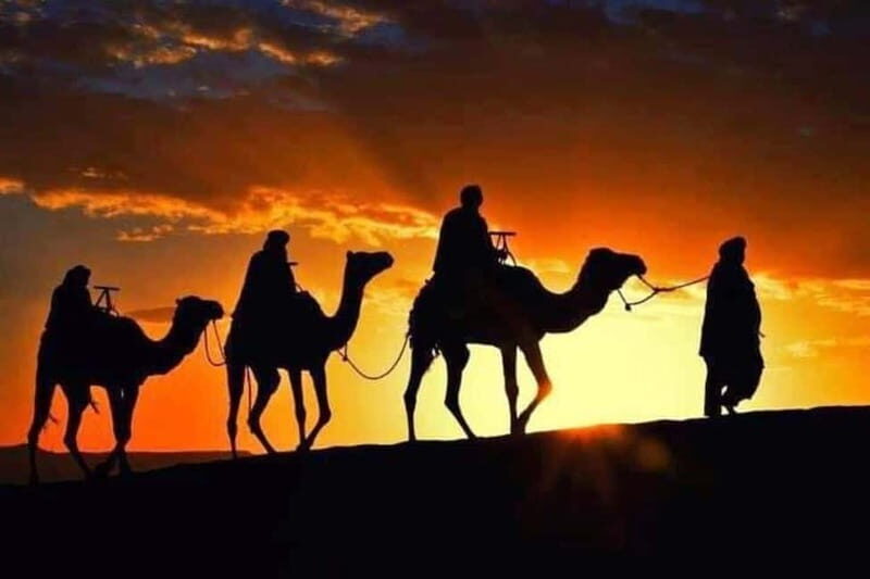 Tangier: Day Trip from Tarifa To Tanger { camel ride { plage - What’s Included and What’s Not
