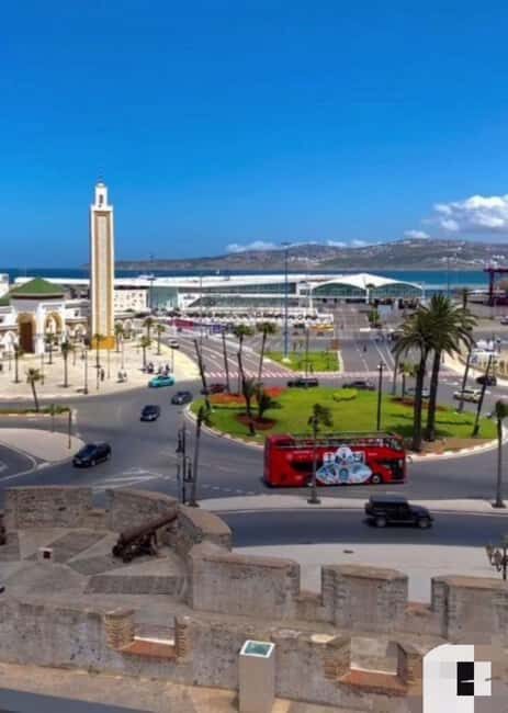 Tangier: Day Trip from Tarifa To Tanger { camel ride - Authentic Experiences That Shine