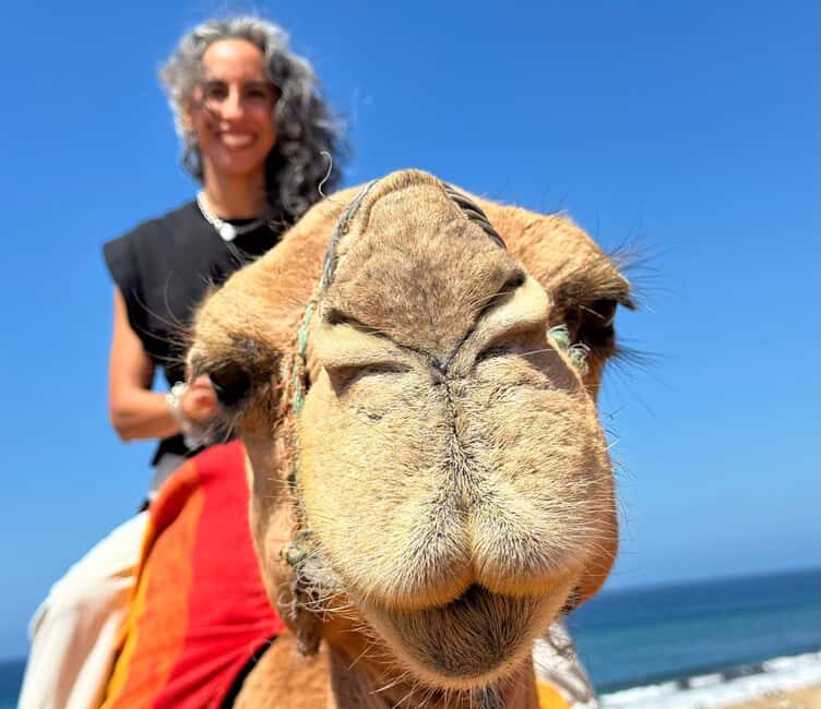 Tangier Food Tour : Highlights, Medina, Souks & Camel. - Who Is This Tour Best For?