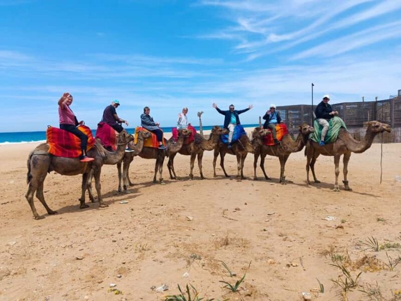 Tangier : Guided City Tour Around Main Points of Interest - Practical Tips for Your Tour