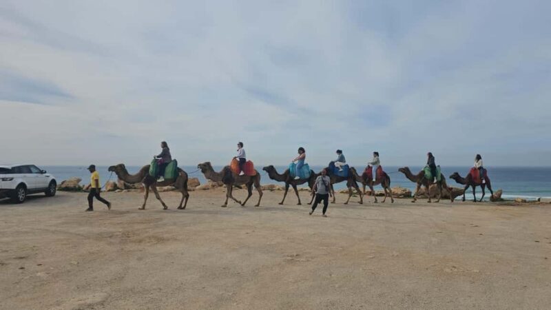 Tangier : Guided City Tour Around Main Points of Interest - The Sum Up: Is This Tour Right for You?