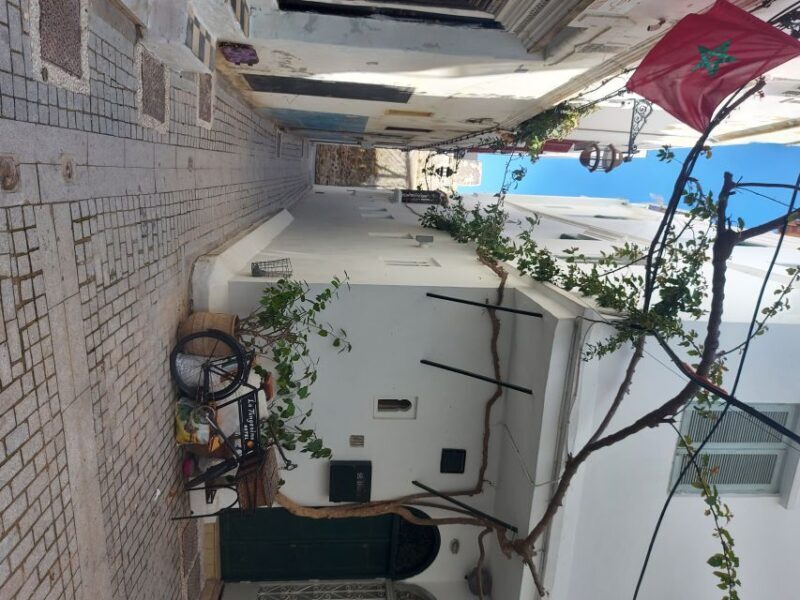 Tangier Highlights Private 6-Hour Tour - Who Is This Tour Best For?