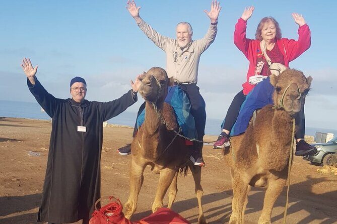 Tangier Luxury Tour Private Guide Plush Van and Camel Bliss - The Sum Up