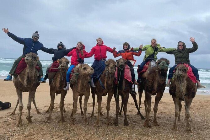Tangier Private Day Tour from Cruise Ship All inclusive - Why This Tour Excels for Cruise Travelers