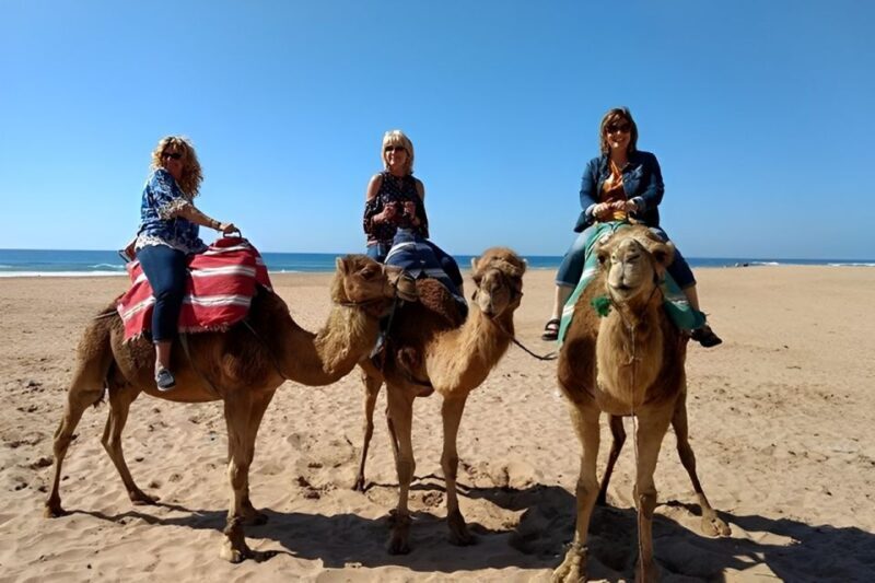 Tangier: Private Half-Day Tour and Camel Ride - Key Points