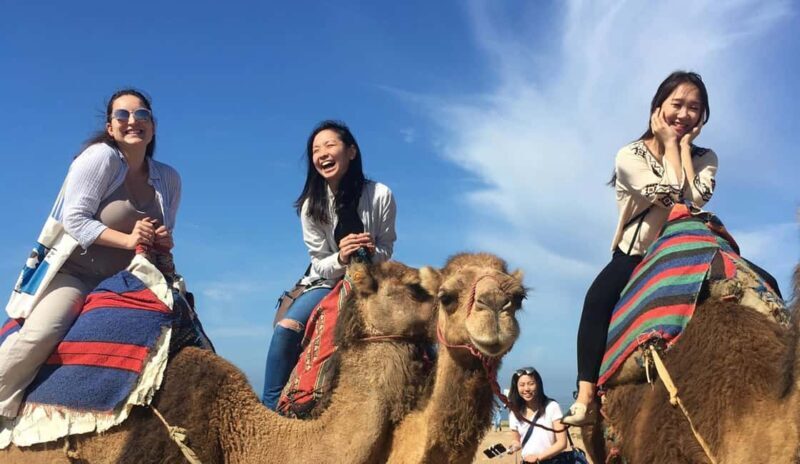 Tangier Private Half-Day Tour + Camel Ride + Add-on: Lunch - The Experience from the Traveler’s Perspective