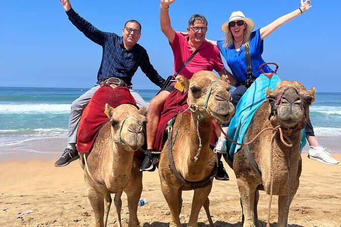 Tangier private half day tour Deluxe Including camel ride & Lunch - Who Is This Tour Best For?