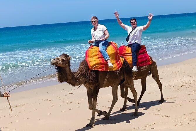 tangier private shore excursion - Who Is This Tour Best For?