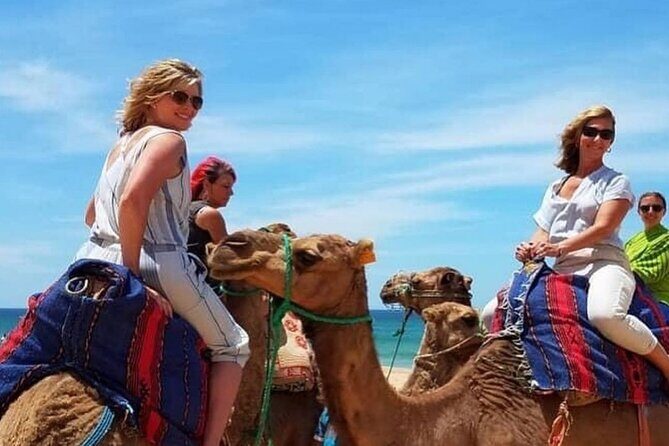 Tangier Private Sightseeing Day Tour - The Sum Up: Who Will Love This Tour?