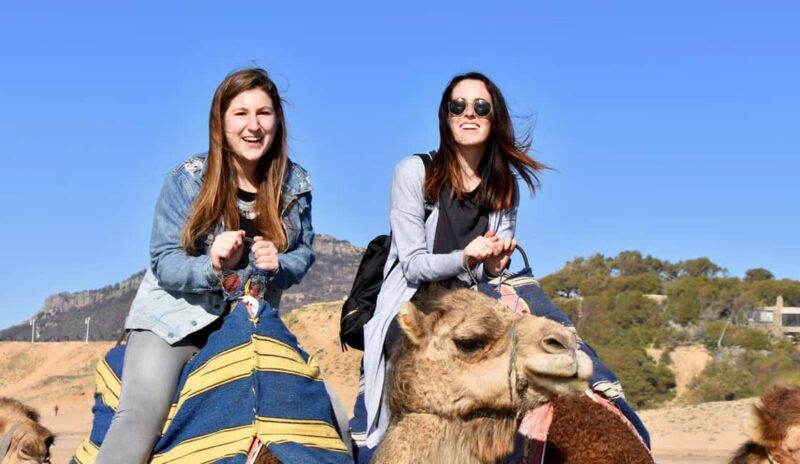 Tangier Private Tour + Camel Ride + Add-on: Moroccan Lunch - Key Points