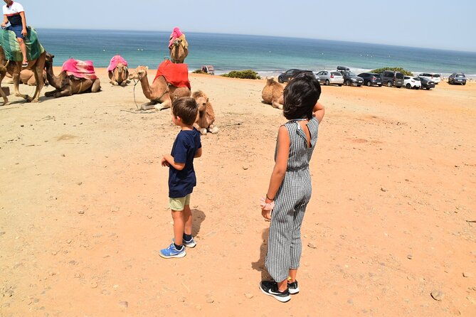 tangier-private-tour-from-malaga-or-marbella-w-guide-and-driver
