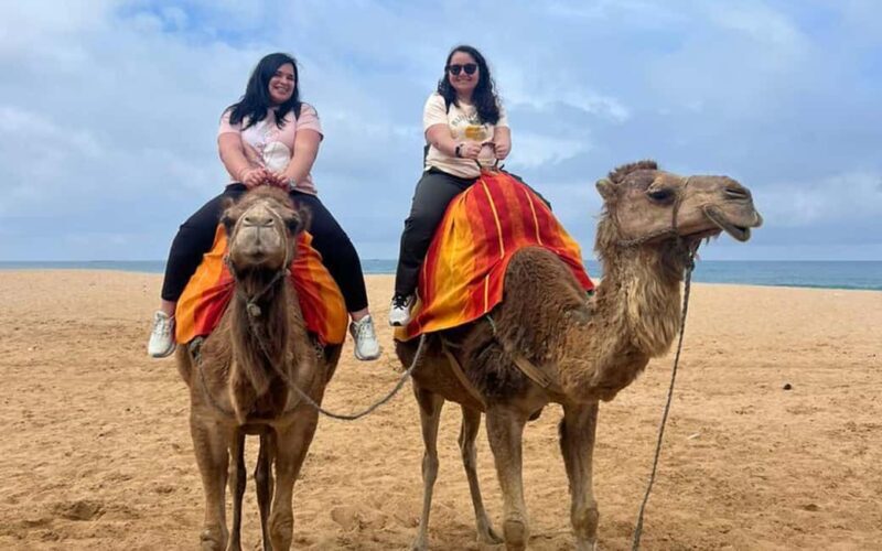 Tangier Private Tour Pick Up from Cruise Ship All inclusive - Key Points