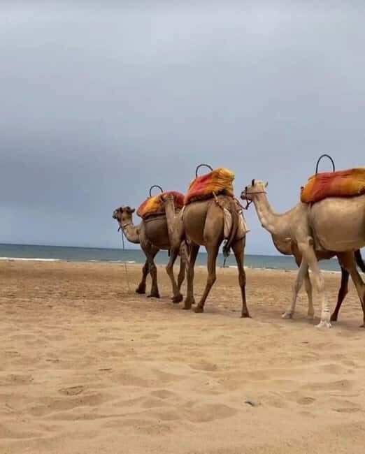 Tangier: Sunset tour with tea, camel ride & Cap Spartel - FAQs