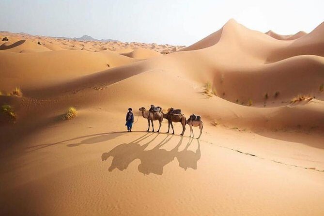 Tangier to Sahara desert with overnight stay in desert camp 4 days - Final Thoughts: Who Is This Tour For?