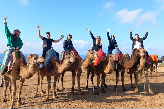Tangier Uncovered: A Full Day Adventure through Moroccos Jewel - How the Tour Runs: Logistics and Practicalities