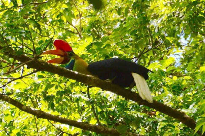Tangkoko Bitung Manado Nature Tourism Park includes lunch. - Who Will Love This Tour?