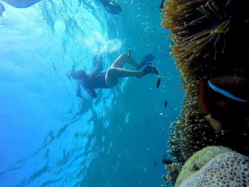 tangsi-beach-gili-gambir-and-gili-petelu-snorkeling-trip