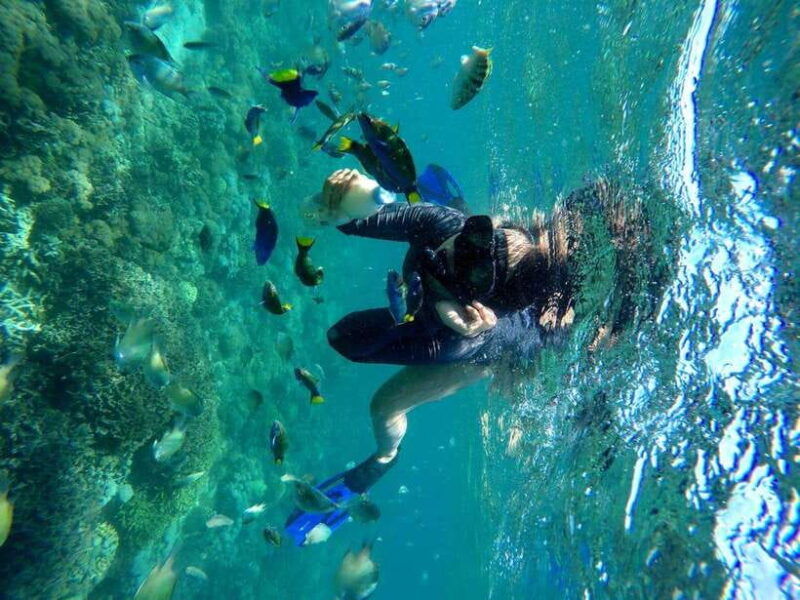 tangsi-beach-gili-gambir-and-gili-petelu-snorkeling-trip