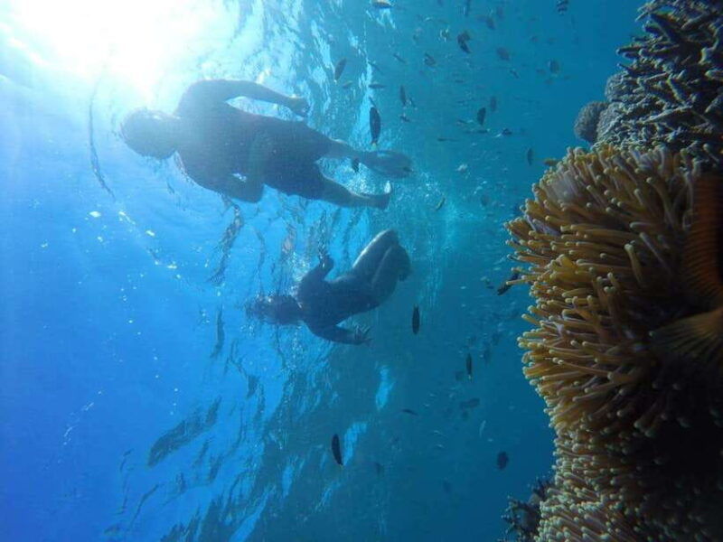 tangsi-beach-gili-gambir-and-gili-petelu-snorkeling-trip