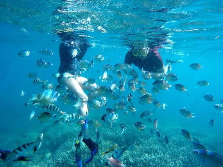 tangsi-beach-gili-gambir-and-gili-petelu-snorkeling-trip