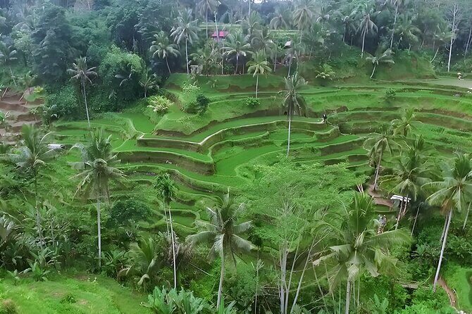 Tanjung Benoa Water Sports and Ubud Rice Terrace, Waterfall Tour - The Practicalities: What’s Included & What to Know
