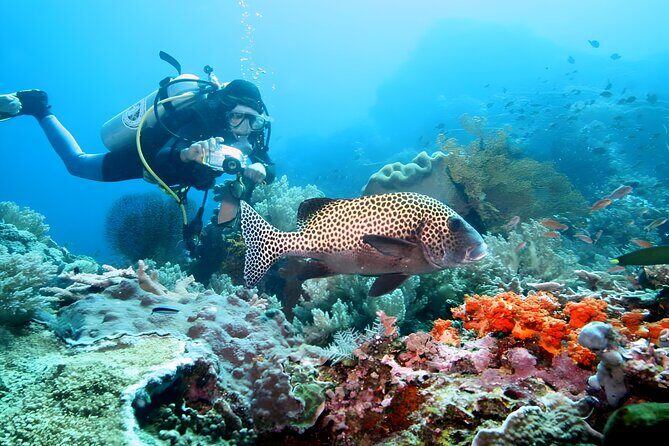 Tanjung Benoa Water Sports: The Nusa Dua Adventure Hub - FAQ