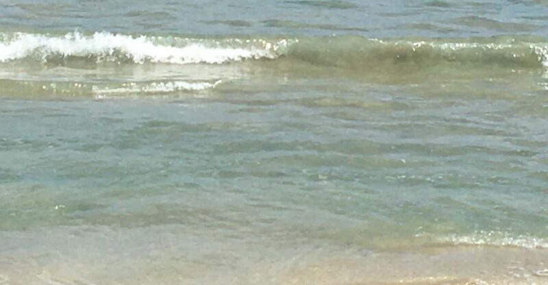 Tanoa Waterfront Hotel to Natadola Beach Round Trip - Key Points