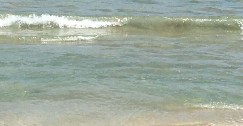 tanoa-waterfront-hotel-to-natadola-beach-round-trip