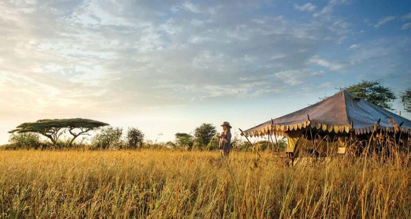 Tanzania: 10-Day Treasures of Wild Luxury Safari by Amara - Final Thoughts