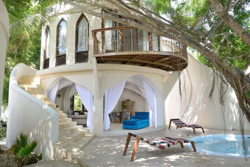 Tanzania: 12-Day Honeymoon Safari and Beach Experience - Final Thoughts