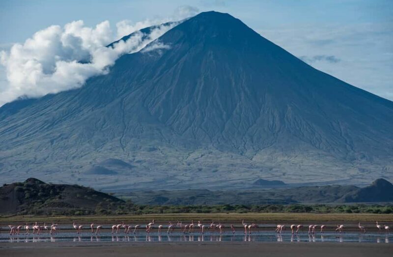 Tanzania: 15-Day Safari with Cultural tour & Zanzibar Beach - Key Points