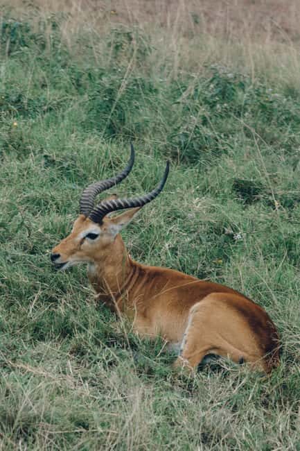 Tanzania: 2-Day Mid-Range Safari to Tarangire and Ngorongoro - FAQ