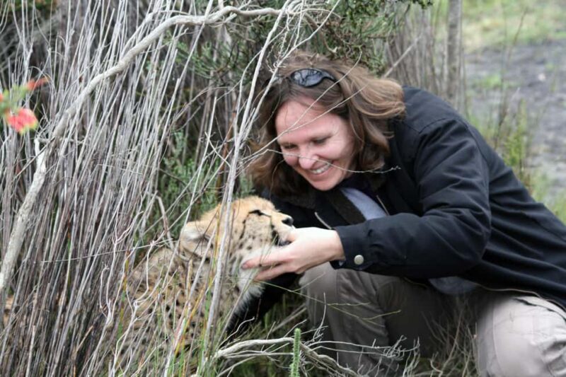 Tanzania: 3-Day Mid-Range Lodge Safari to Serengeti & - Final Thoughts