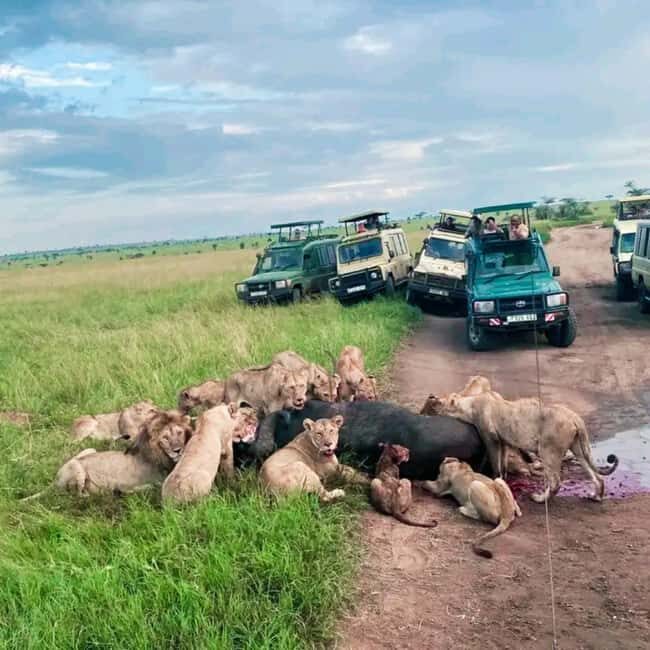 Tanzania: 3-Day Safari Tarangire, Lake Manyara, Ngorongoro - Key Points