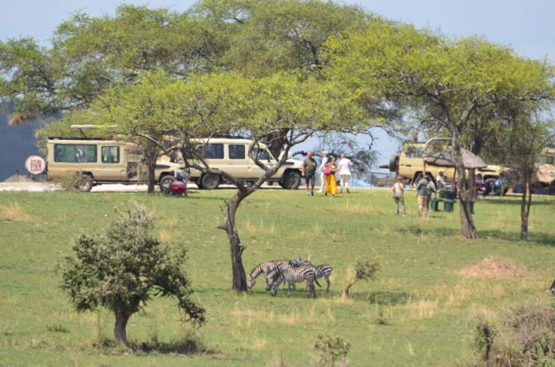 Tanzania : 3-Day Safari with Lake Manyara and Ngorongoro - Key Points