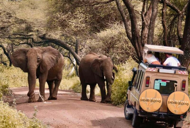 Tanzania: 3 DAYS (2 night) FULL IMMERSION Safari Adventure - What to Expect in This 3-Day Tanzanian Safari