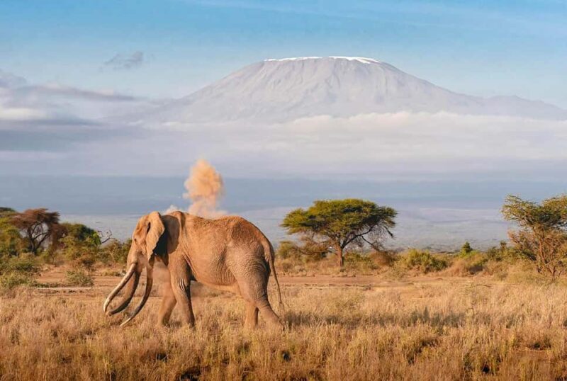 Tanzania: 3 DAYS (2 night) FULL IMMERSION Safari Adventure - Price & Value