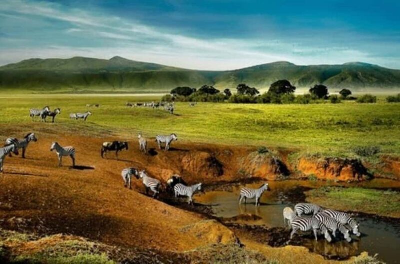 Tanzania: 4-Day Budget Safari to Tarangire and Serengeti - Key Points