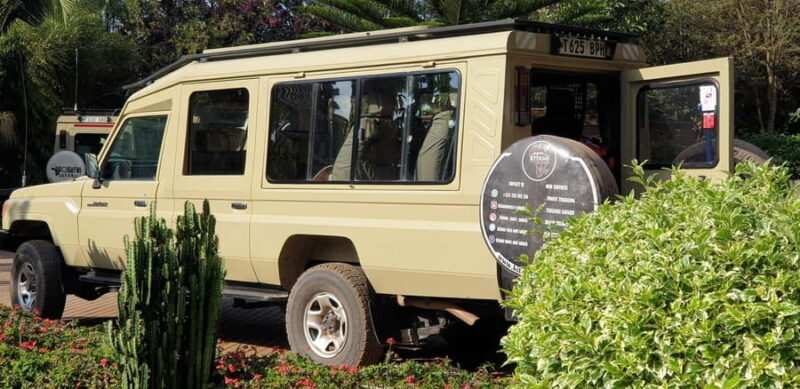 Tanzania: 4-Day Luxury Safari to Tarangire, Serengeti & - Final Thoughts