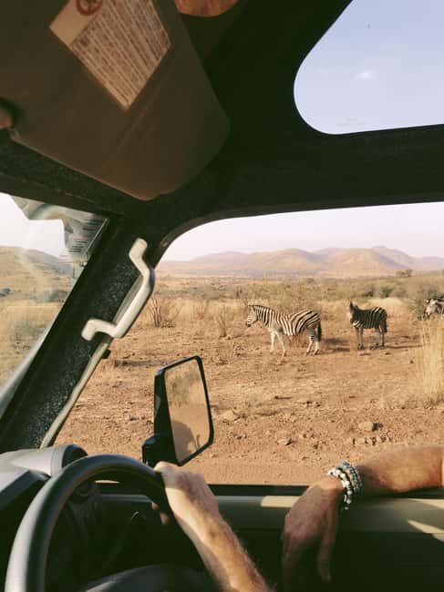 Tanzania: 4-Day Mid-Range Safari to Tarangire, Serengeti & - Key Points