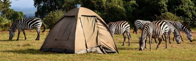 Tanzania: 4-Day Serengeti and Ngorongoro Private Camping - An In-Depth Look at the 4-Day Tanzania Safari