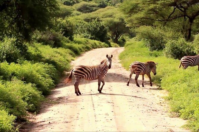 Tanzania 4 Days 3 Nights Budget camping safari to Serengeti and Ngorongoro - FAQs