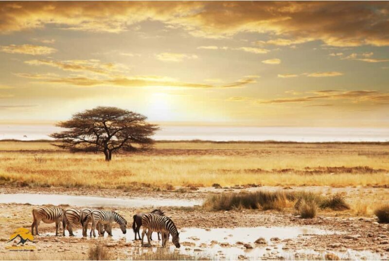 Tanzania: 5-Day Safari to Tarangire, Ngorongoro, and Manyara - Key Points  