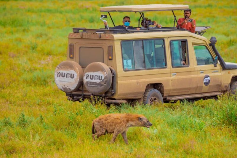 Tanzania: 6-Day Great Migration Safari - Analyzing the Itinerary: What Makes It Special?