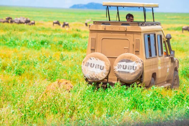 Tanzania: 6-Day Great Migration Safari - Additional Insights from Reviews